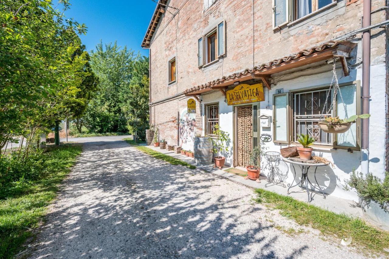 Selvatica50 B&B Nonantola Екстериор снимка