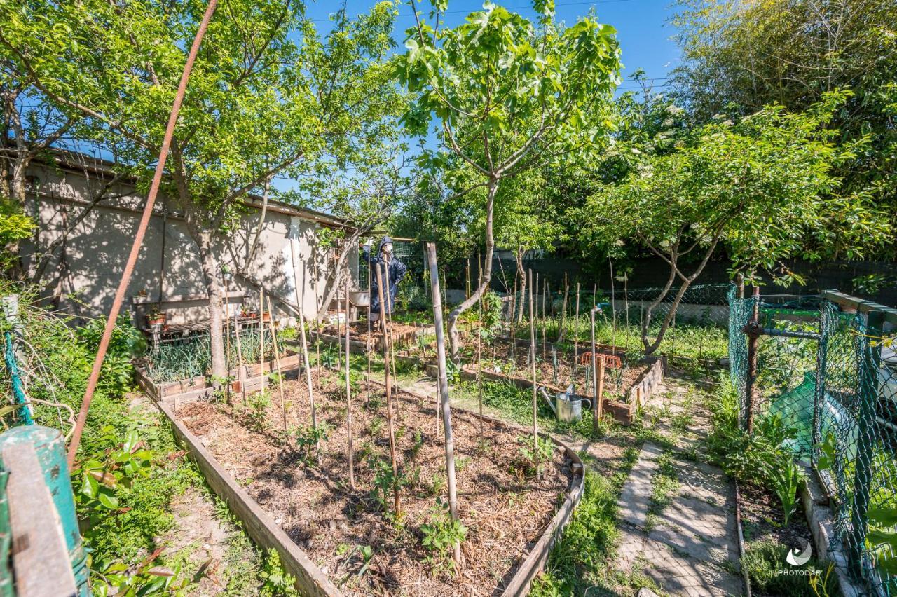 Selvatica50 B&B Nonantola Екстериор снимка