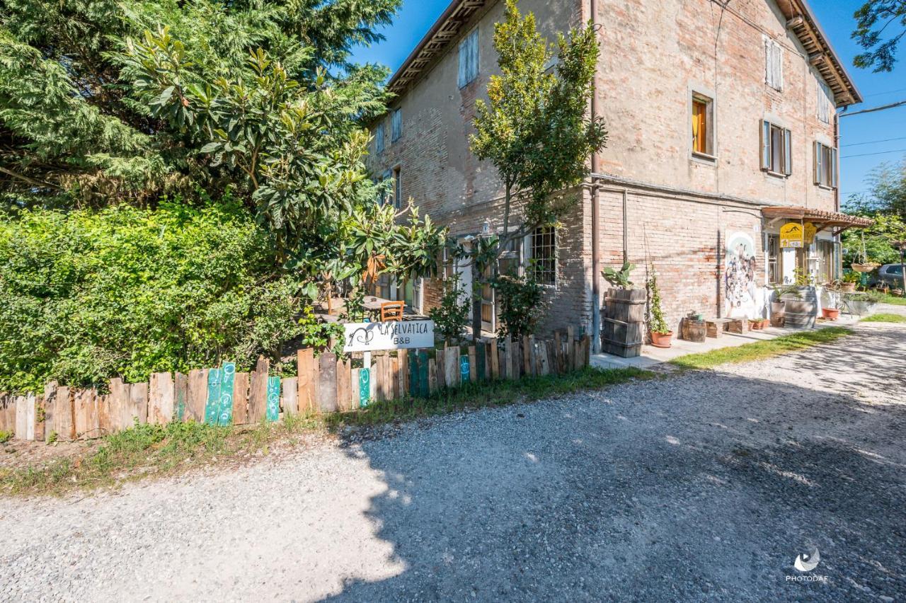 Selvatica50 B&B Nonantola Екстериор снимка